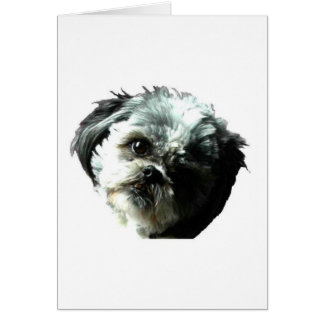amour de chiot