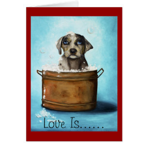 Amour de chiot