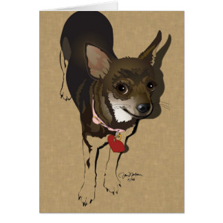 Amour de chiwawa