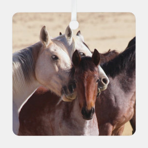 Amour de famille sauvage, Ornement