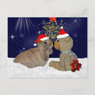 Amour de lapin à la carte postale de Noël