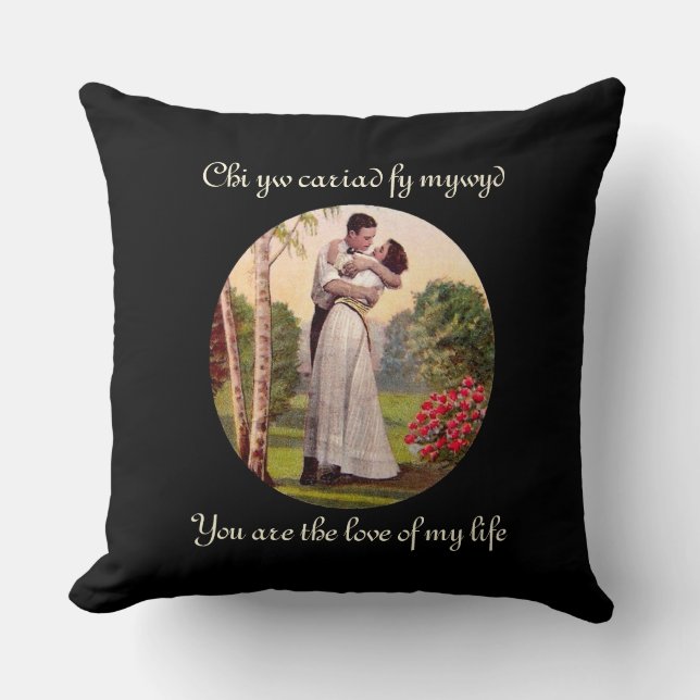 Amour de mon coussin de la vie (Recto)
