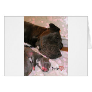 Amour de Pittie