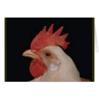 Amour de poulet