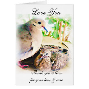 Amour des Soves_