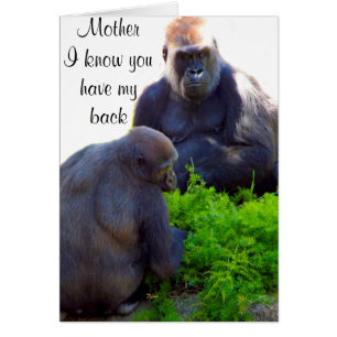 Amour et protection_