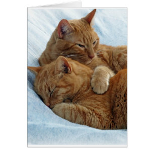 Amour fraternel