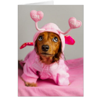 Amour inconditionnel