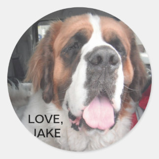 AMOUR, JAKE STICKER