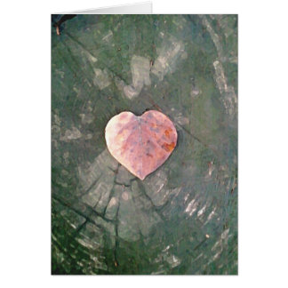 Amour naturel, IIII