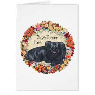 Amour pour les Terriers Skye