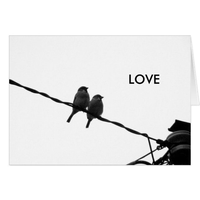 Amour/Regard dans la même direction (Devant Horizontal)