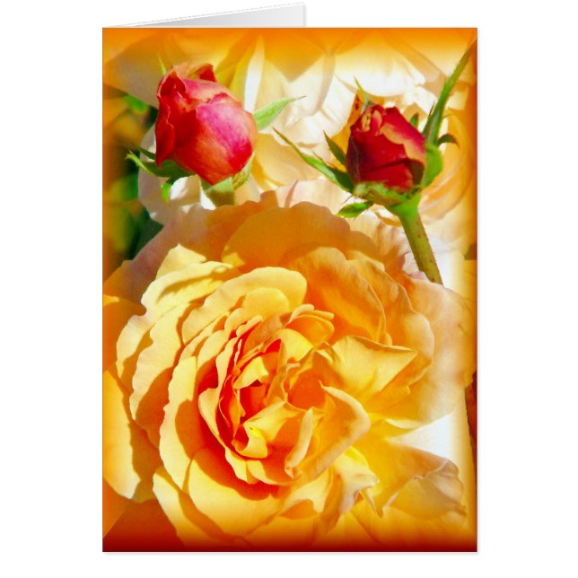 Amour rose_ (Devant)