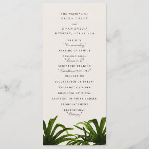 Amour tropical / Programme