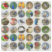 Amoureux des oiseaux tissu