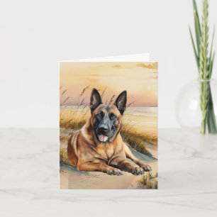 Amoureux du Malinois belge Plage de sable
