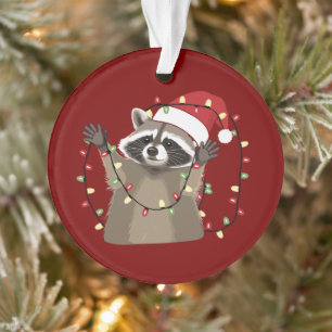 Amoureux du raton laveur Lumières de Noël Animal C