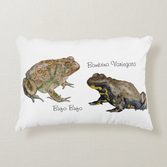 Amphibians, Reptiles & Insects Watercolor Accent Pillow (Front)