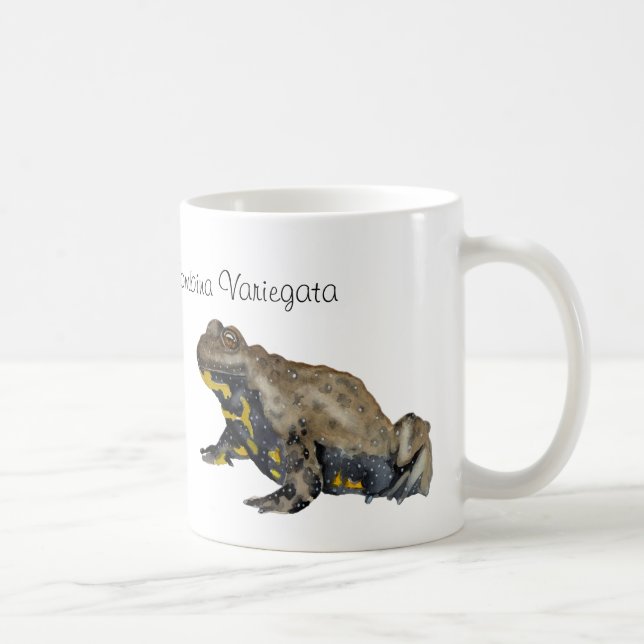 Amphibians, Reptiles & Insects Watercolor Coffee Mug (Right)