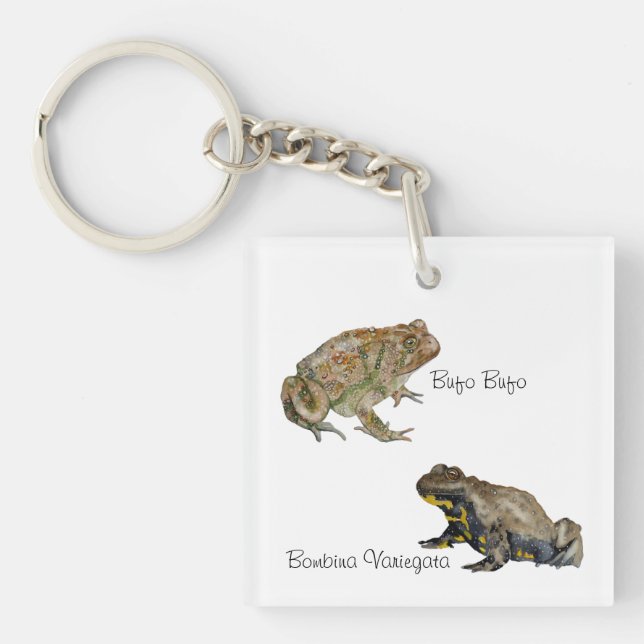 Amphibians, Reptiles & Insects Watercolor Keychain (Front)