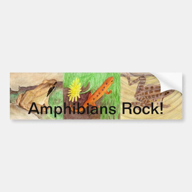 Amphibians Rock! Bumper Sticker (Front)