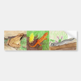 Amphibians Watercolor Bumper Sticker