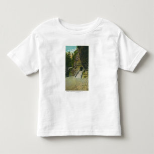 Amphitheatre Entrance View Toddler T-shirt