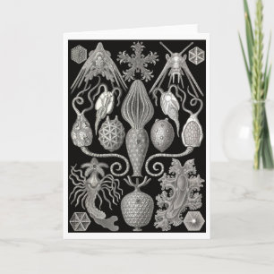 "Amphoridea; or, Star-Animals" Greeting Card