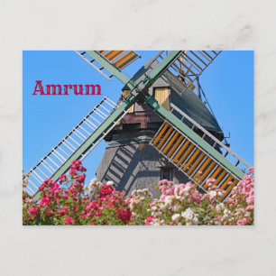 Amrum Windmill, Nebel, Nordfriesland, Germany Postcard