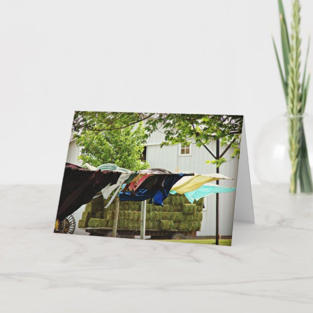 Amsih Clothing and Hay Card (Front)