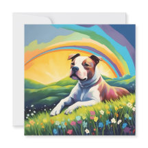 Amstaff American Staffordshire Terrier Rainbow Dog
