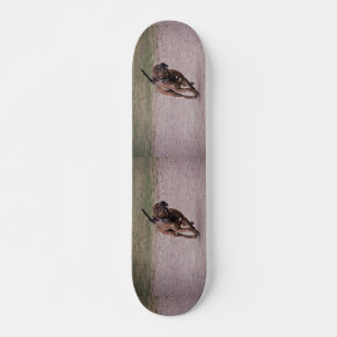 Amstaff running skateboard