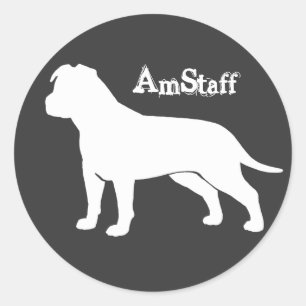 AmStaff with Floppy Ears Classic Round Sticker