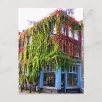 Amsterdam Autumn Vines Architecture