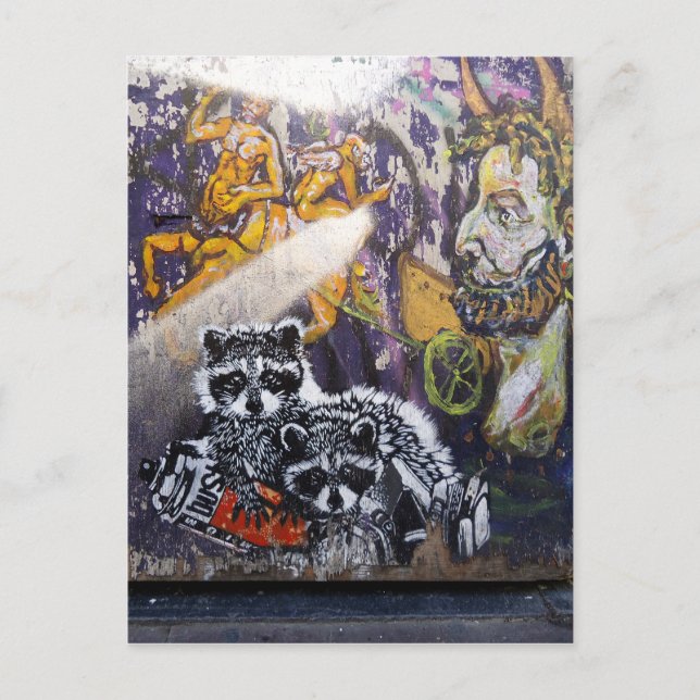 Amsterdam Graffiti Street Art Nr. 1 - Raccoon Postcard (Front)