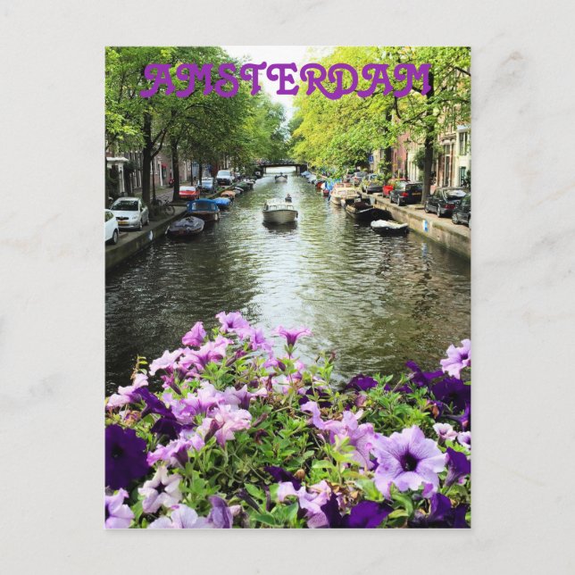 Amsterdam Summer Canal Postcard (Front)