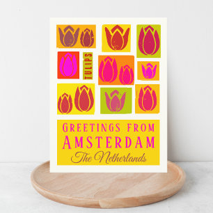Amsterdam Tulips Netherlands Holland  Postcard