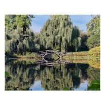 Amsterdam Willow Pond