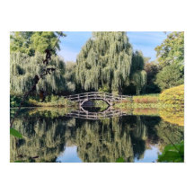 Amsterdam Willow Pond