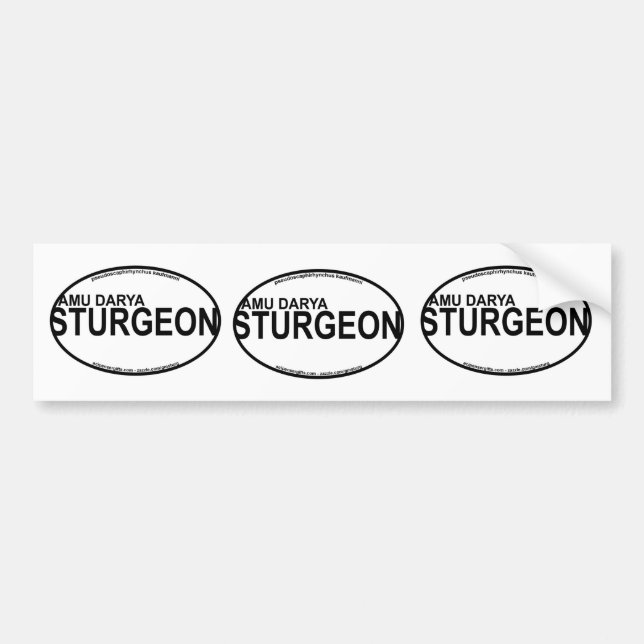AmuDarya Sturgeon Euro Stickers (Front)