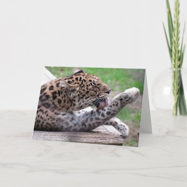 Amur Leopard Greeting Card (Front)