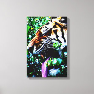 Amur Tiger 11x16.5 (27.5x41.25cm) waccn Canvas Print