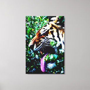 Amur Tiger 24x36 (60x90cm) waca Canvas Print