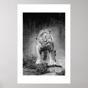 Amur Tiger #3 Poster