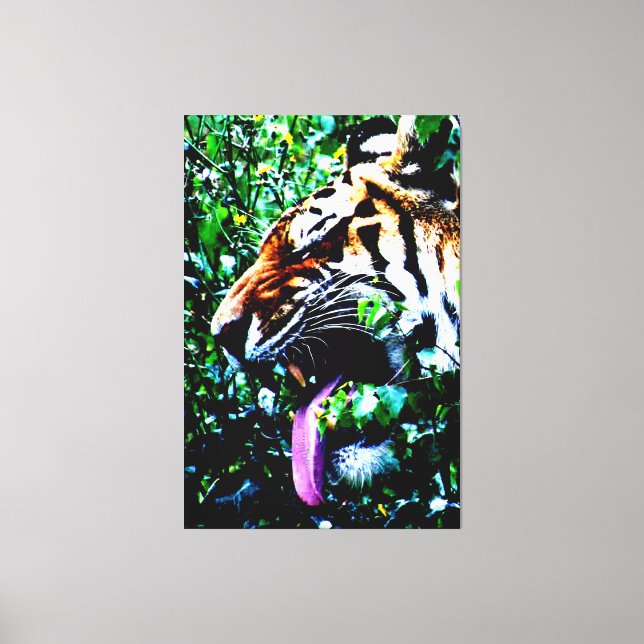 Amur Tiger 40x60 (100x150cm) waccna Canvas Print (Front)