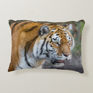 Amur tiger accent pillow