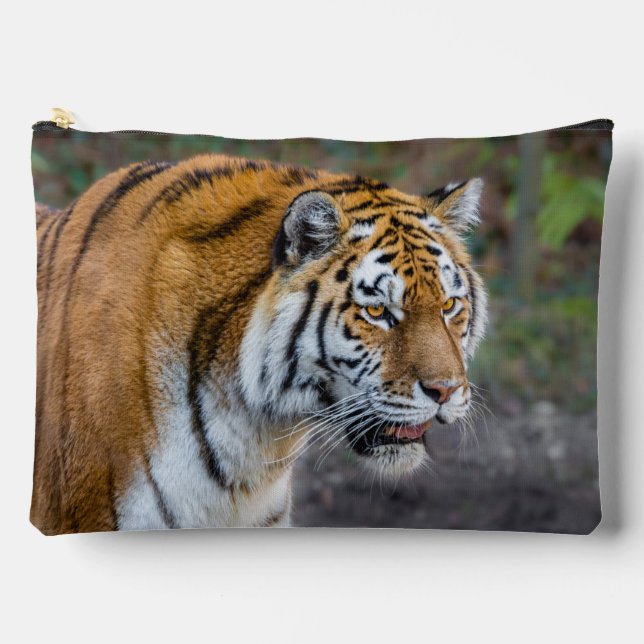 Amur tiger accessory pouch (Front)