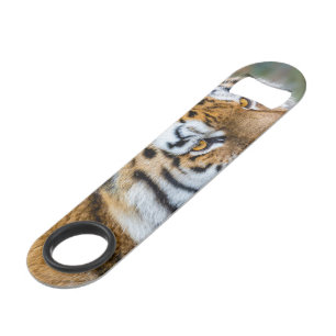 Amur tiger bar key