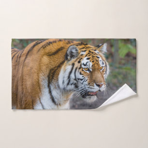 Amur tiger bath towel set