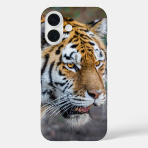 Amur tiger iPhone 16 case